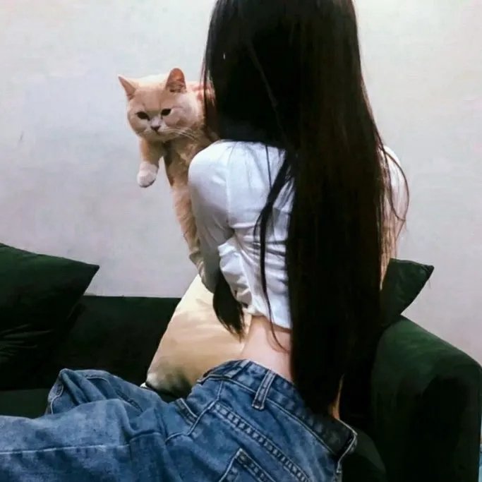 玉拳艳舞